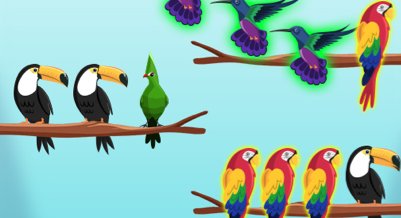 鸟类排序挑战 - crazygames,crazy games,free games,h5 game, free play,free crazy games