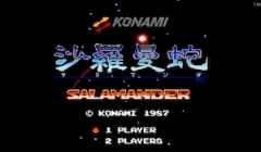 沙罗曼蛇（日版） - crazygames