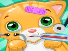 猫医生 救救我的猫 - crazygames