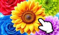 花束：合并与出售花束 - crazygames