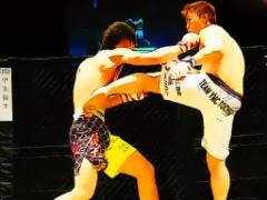 UFC格斗拼图 - crazygames