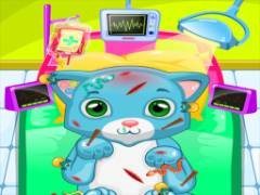 ASMR猫医生诊所 - crazygames