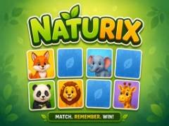 自然ix - crazygames,crazy games,free games,h5 game, free play,free crazy games